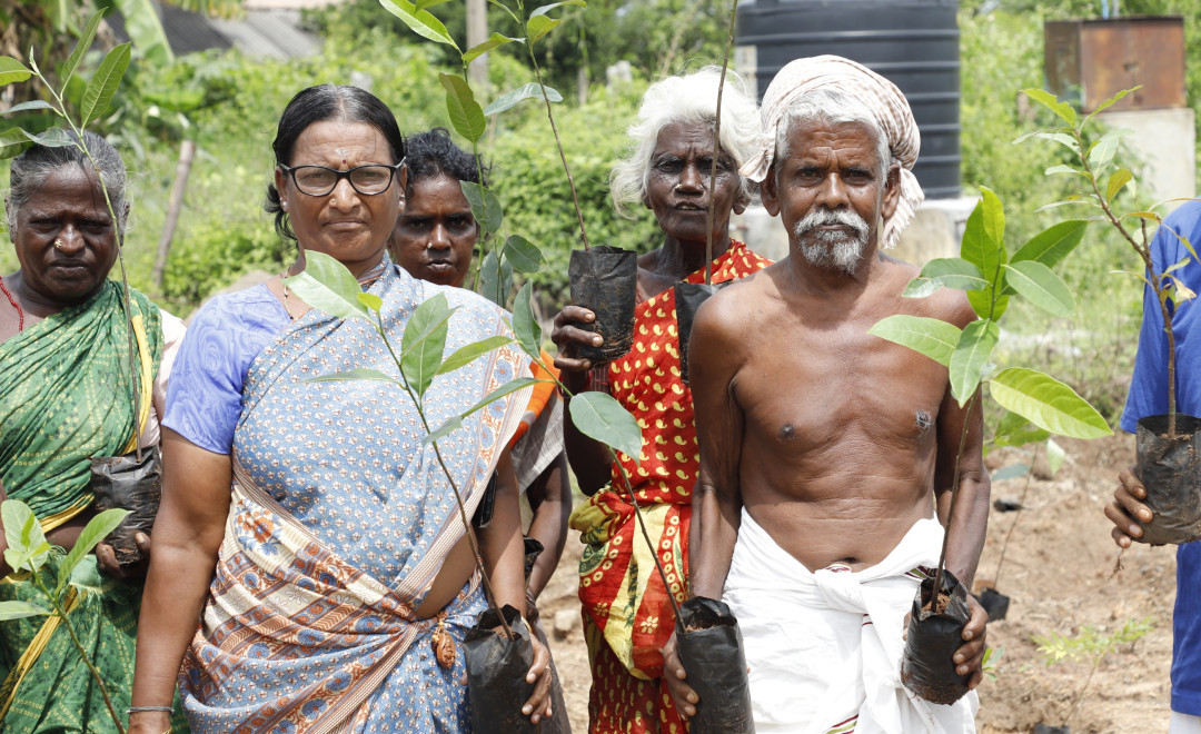 Community members holding young saplings in nursery bags