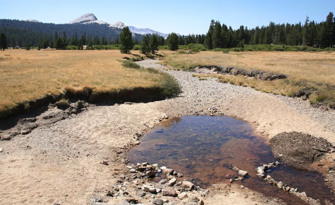 Dry creek bed and golden meadow with conifers and granite peaks beyond