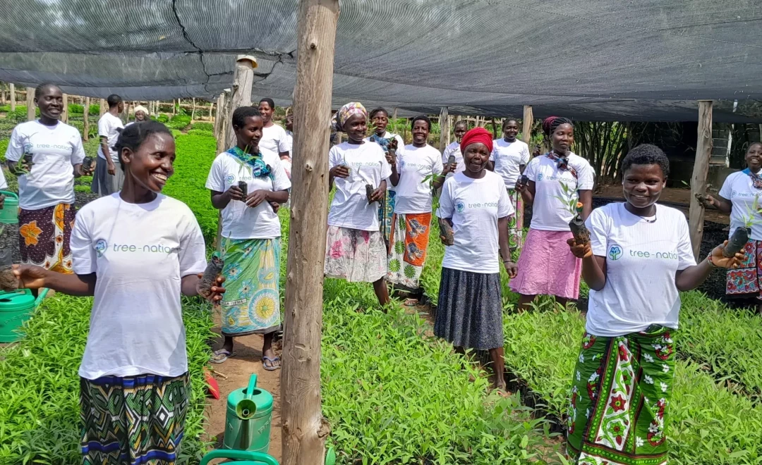 Nursery team holding seedlings under shade netting