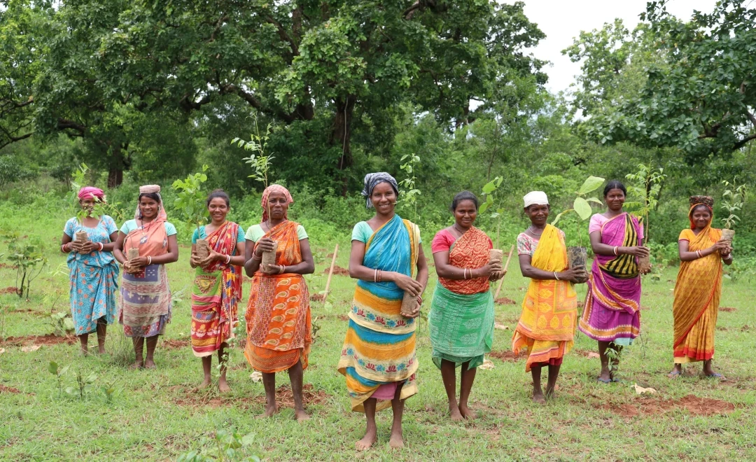 Women in colourful saris holding tree saplings in a field